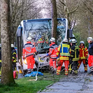 Der Fahrer wurde durch den Unfall im Bus eingeklemmt.