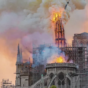 Notre Dame Paris Brand