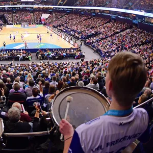 Fans des Handball Sport Vereins Hamburg