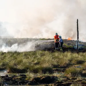 Mit Wasser löschen die Feuerwehrkräfte den Moorbrand.