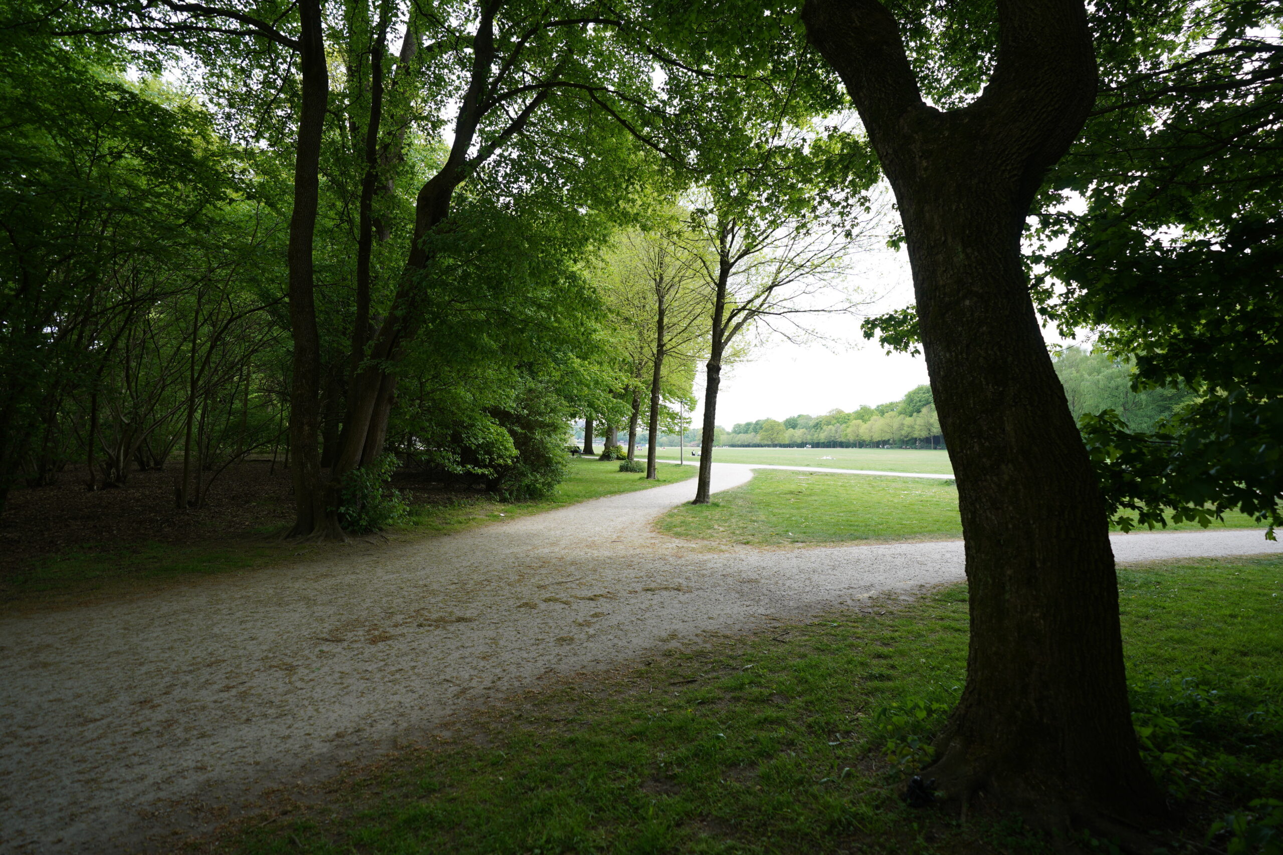Blick auf die Festwiese im Stadtpark.
