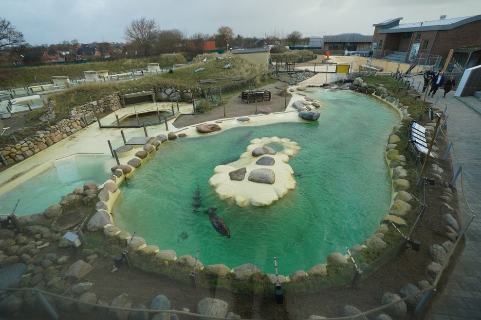 Blick auf das große Becken in der Seehundstation Friedrichskoog.