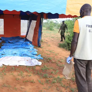 Ein Forensiker steht vor einer Anreihung an Leichensäcken unter einem Zelt liegend.