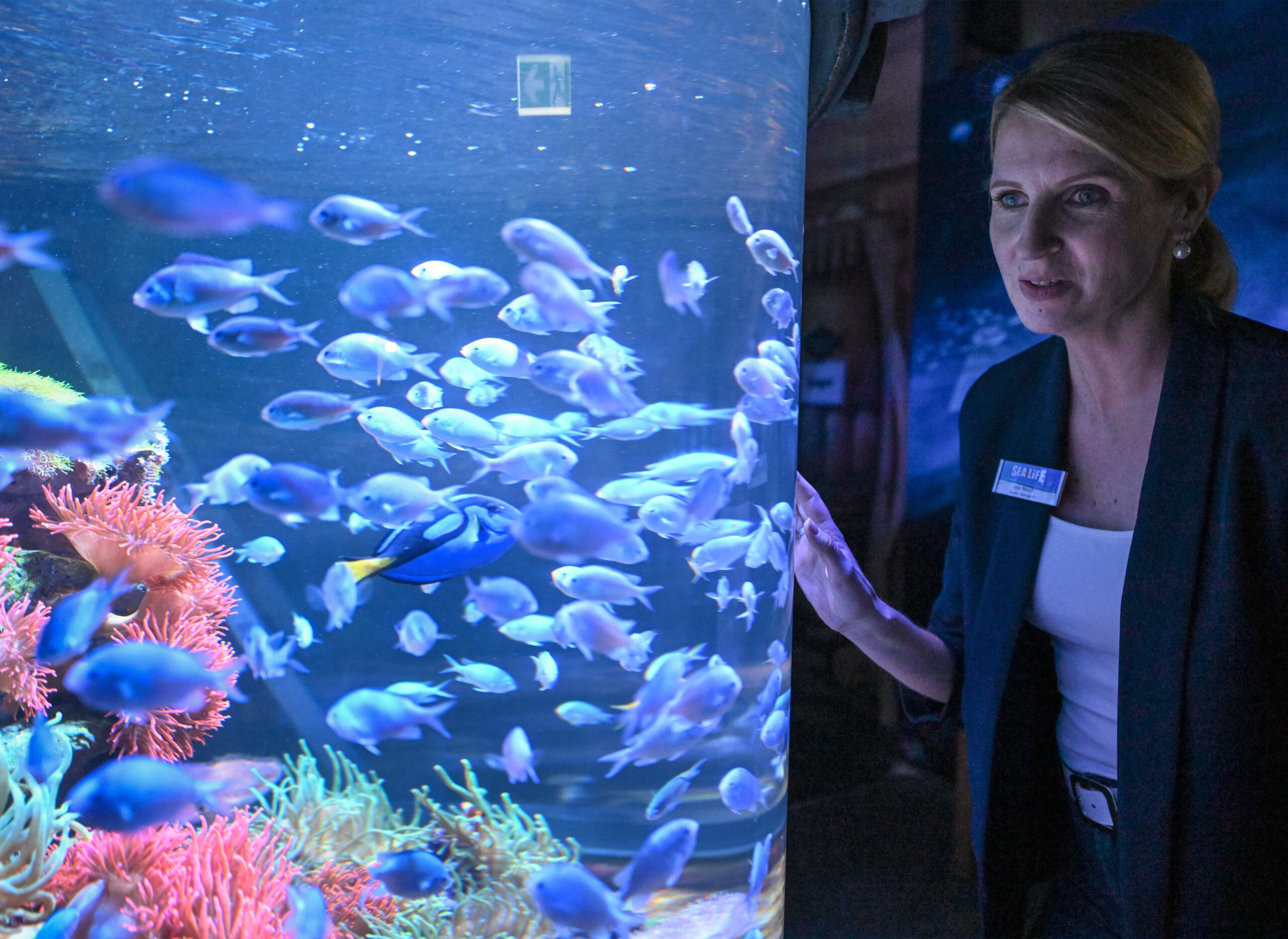 Die General Managerin Anja Nitsch will das Sealife-Aquarium am Montag wiedereröffnen.