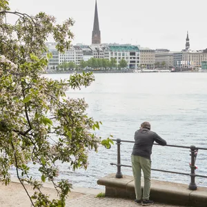 Am Freitag startet das Japanisches Kirschblütenfest samt Feuerwerk und der alljährlichen Wahl der Kirschblütenkönigin rund um die Alster.