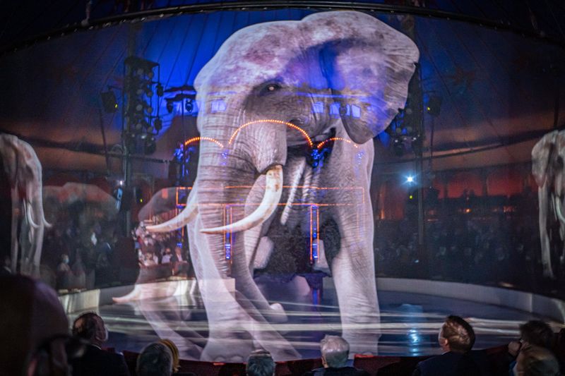 Hologram eines Elefanten