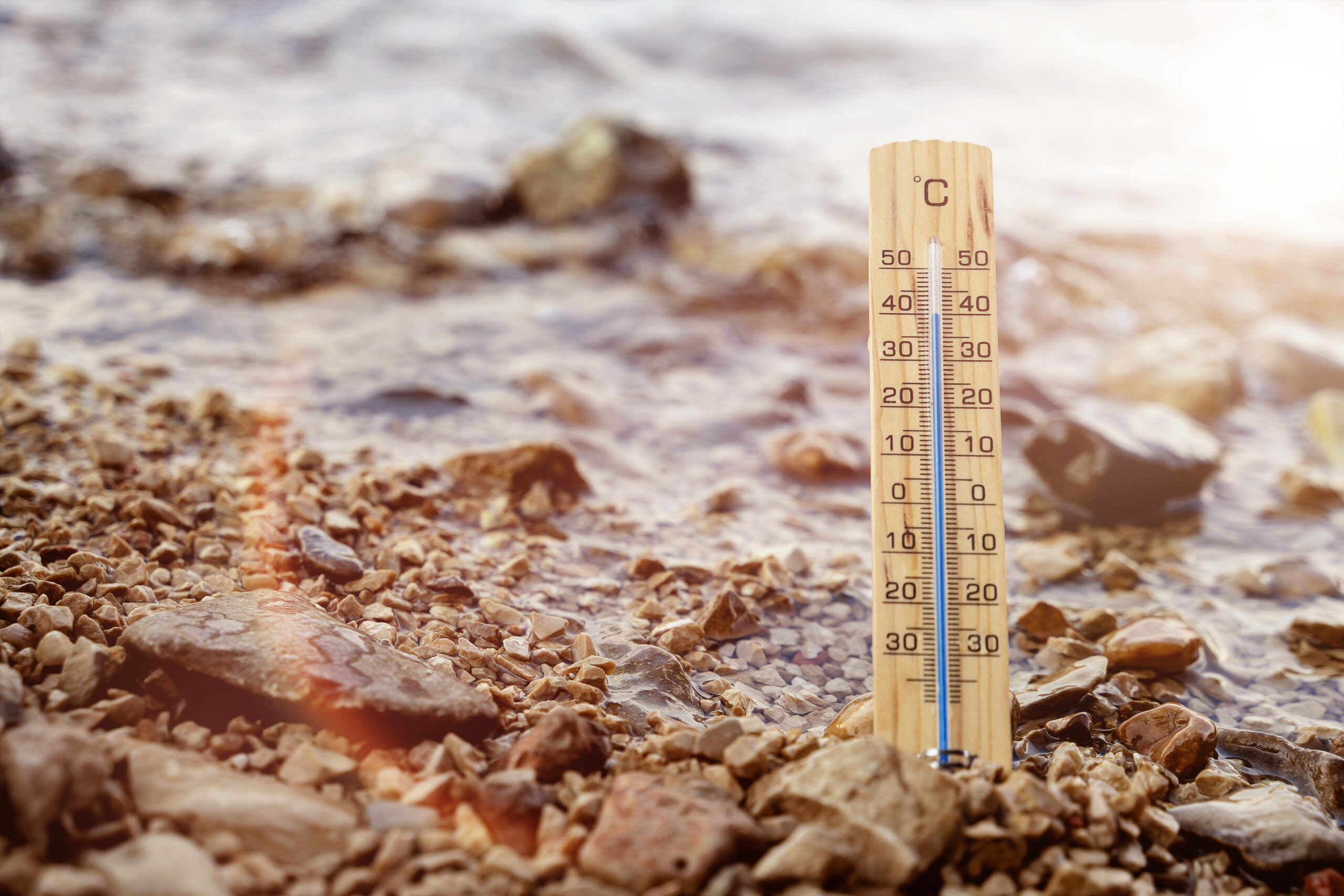 Ein Thermometer zeigt 40 Grad Celsius an. So heiß könnten die Sommer auch in Hamburg immer öfter werden. (Symbolbild)