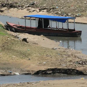 Die zunehmende Dürre des Amazonas-Regenwalds in Südamerika verschärft die Folgen des Klimawandels.