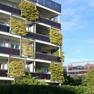 Begrünte Fassade in Wilhelmsburg