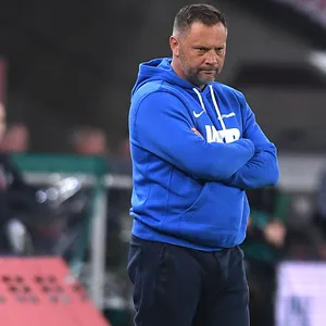 Pal Dardai an der Seitenlinie