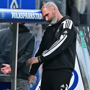 HSV-Trainer Tim Walter an der Bank