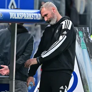 HSV-Trainer Tim Walter an der Bank