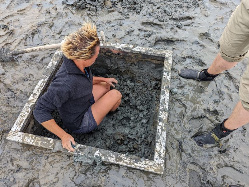 Archäologin bei Ausgrabungen im Wattenmeer