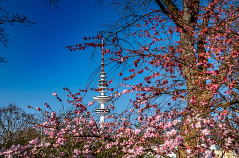 Bei Planten un Blomen ist es im Frühling besonders schön.