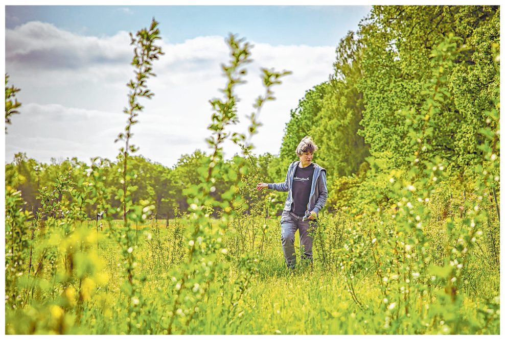 Alexandra gehend über Wildwiese