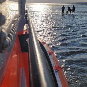 Eine Gruppe Menschen mit Hund auf dem Watt zu sehen