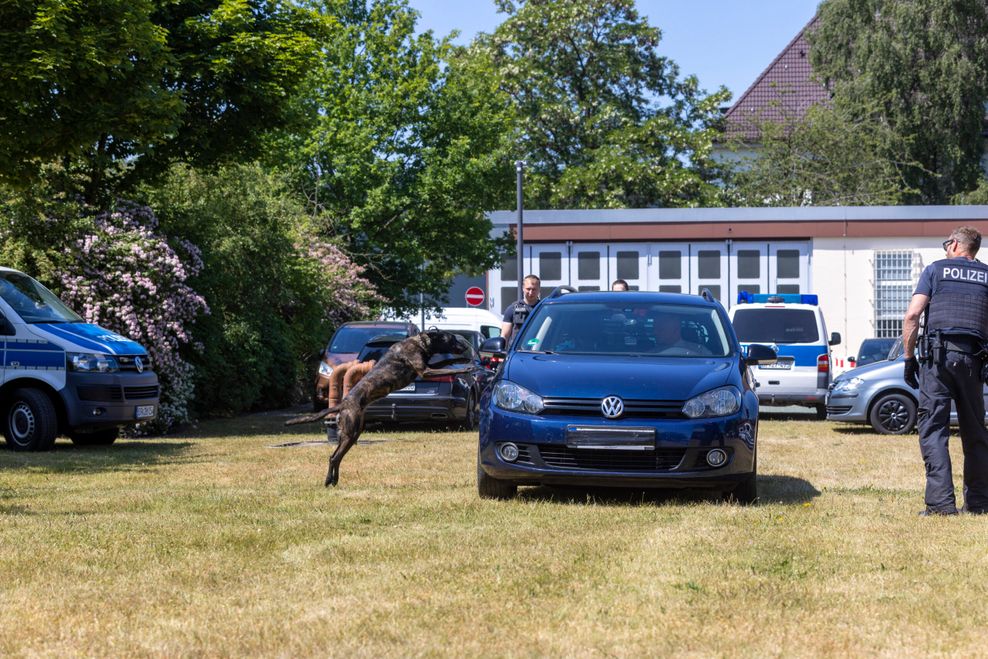Bei einer Kontrolle greift der Fahrer einen Beamten mit Reizgas an – ein Diensthund springt darauf ins Auto.