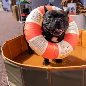 Für Milo ist es ein Tag im siebten Hundehimmel.