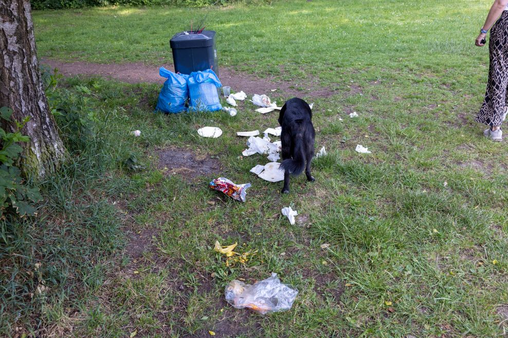 Ein Hund schnüffelt in einem Müllhaufen neben einem vollen Mülleimer.