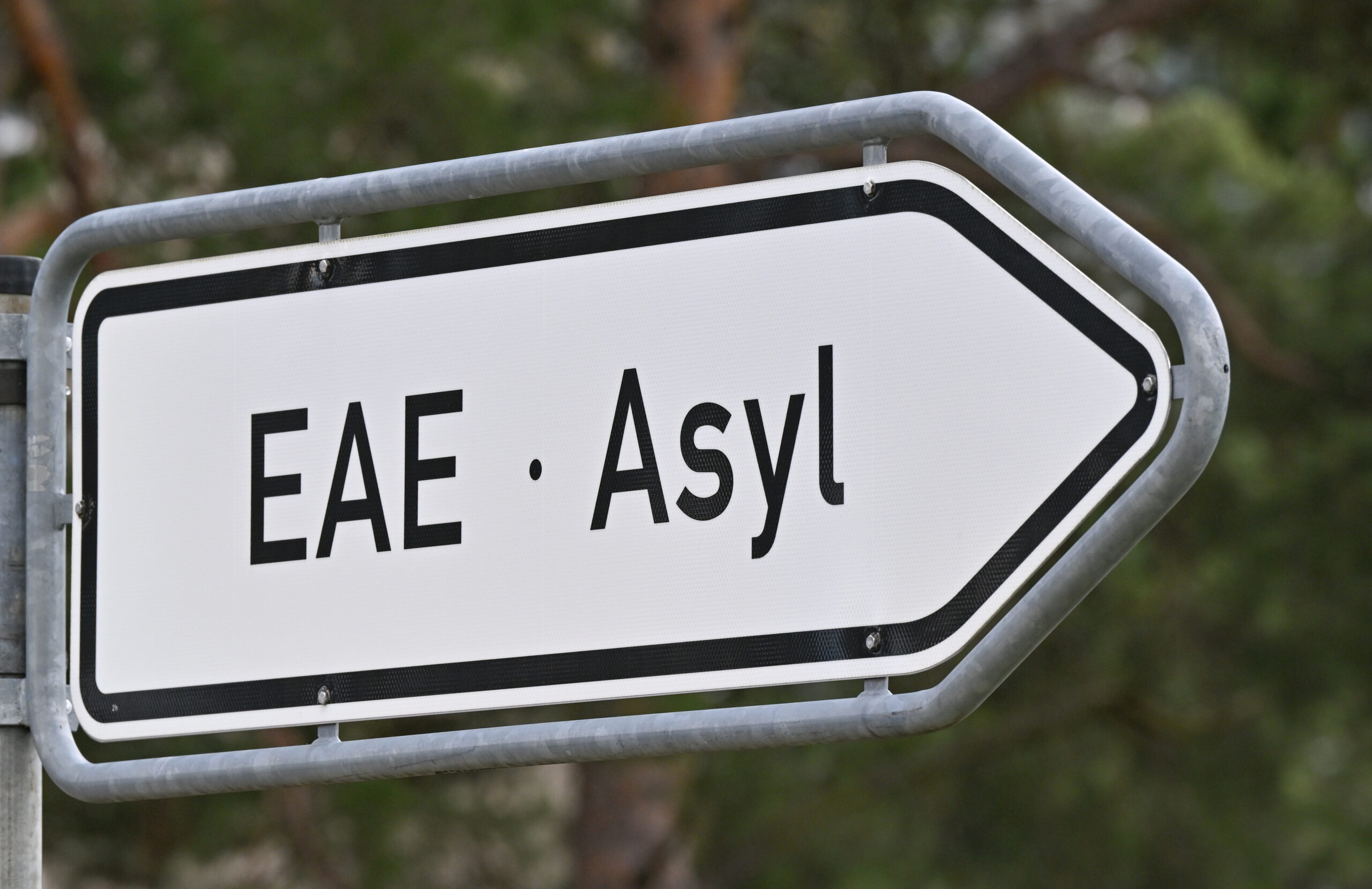 Straßenschild mit der Aufschrift Asyl