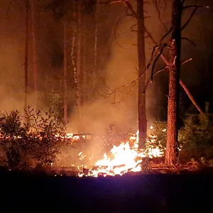 Waldbrand bei Jüterbog
