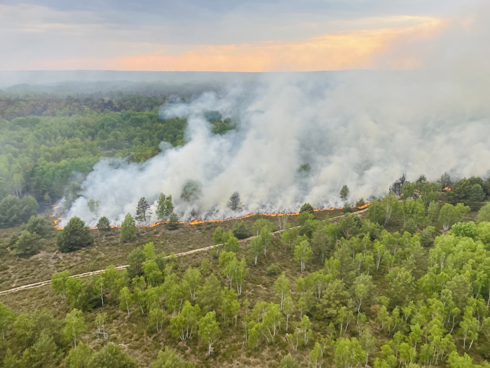 Der Waldbrand in Jüterbog in Brandenburg wird immer größer: Inzwischen sind mehr als 650 Hektar betroffen.