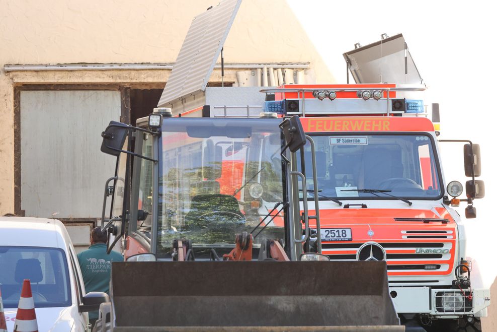 Die Hamburger Feuerwehr hat am Samstag der 57-jährigen Elefantendame Shandra im Tierpark Hagenbeck beim Aufstehen helfen müssen. 