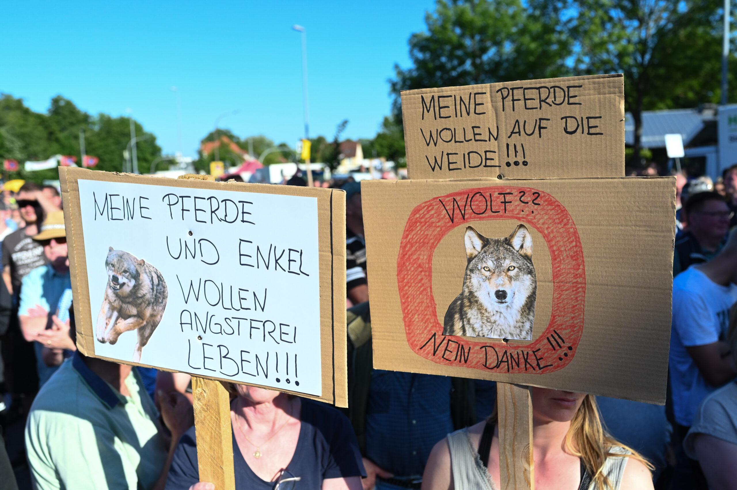 Teilnehmer der Veranstaltung halten Schilder mit Anti-Wolf-Botschaften hoch. Die Verbände Land schafft Verbindung (LsV) Ostfriesland und der Friesische Verband für Naturschutz (FVN) haben zu einer Demonstration gegen die aktuelle Wolfspolitik aufgerufen.