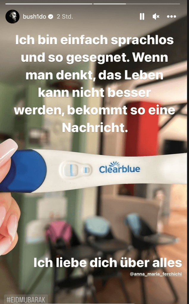 bushido anna maria schwanger baby