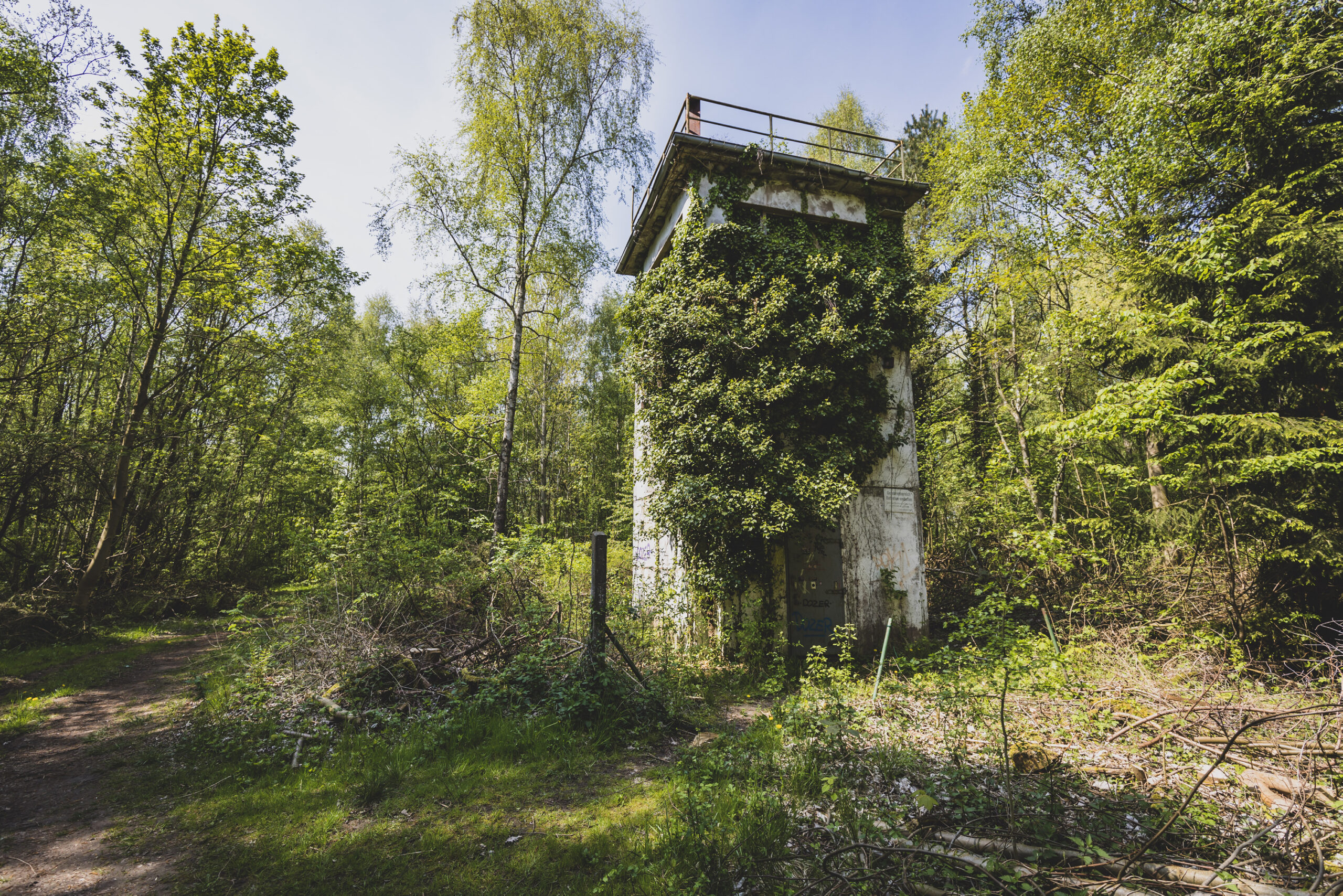 Ein ehemaliger DDR-Führungsturm im Wald von Pötenitz. Der Turm ist mit Efeu bewachsen.