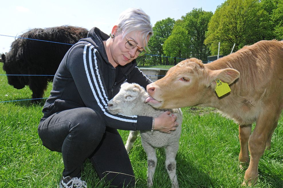 Kalb Feli