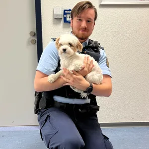 Entlaufender Hund nach Supermaktbesuch im Bahnhof Altona von Bundespolizei in Gewahrsam genommen