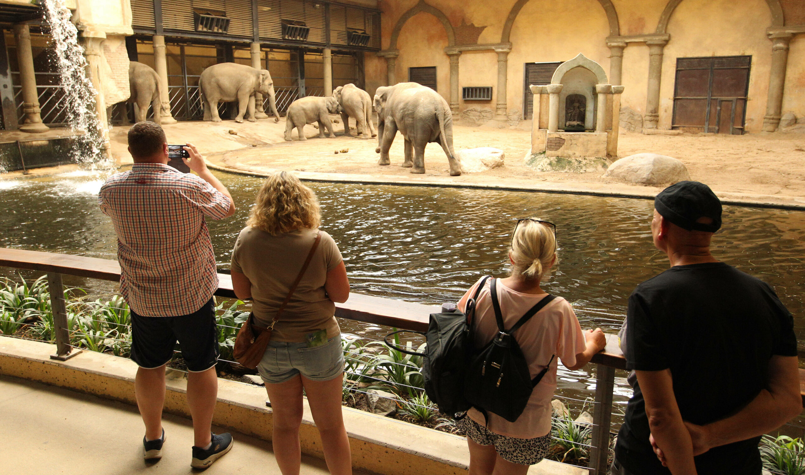 Besucher beobachten die Dickhäuter im Hagenbeck-Elefantenhaus