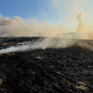 Boberger Dünen Feuer Hamburg