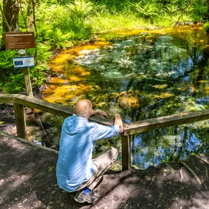 Die Schwindebachquelle liegt idyllisch mitten im Wald.