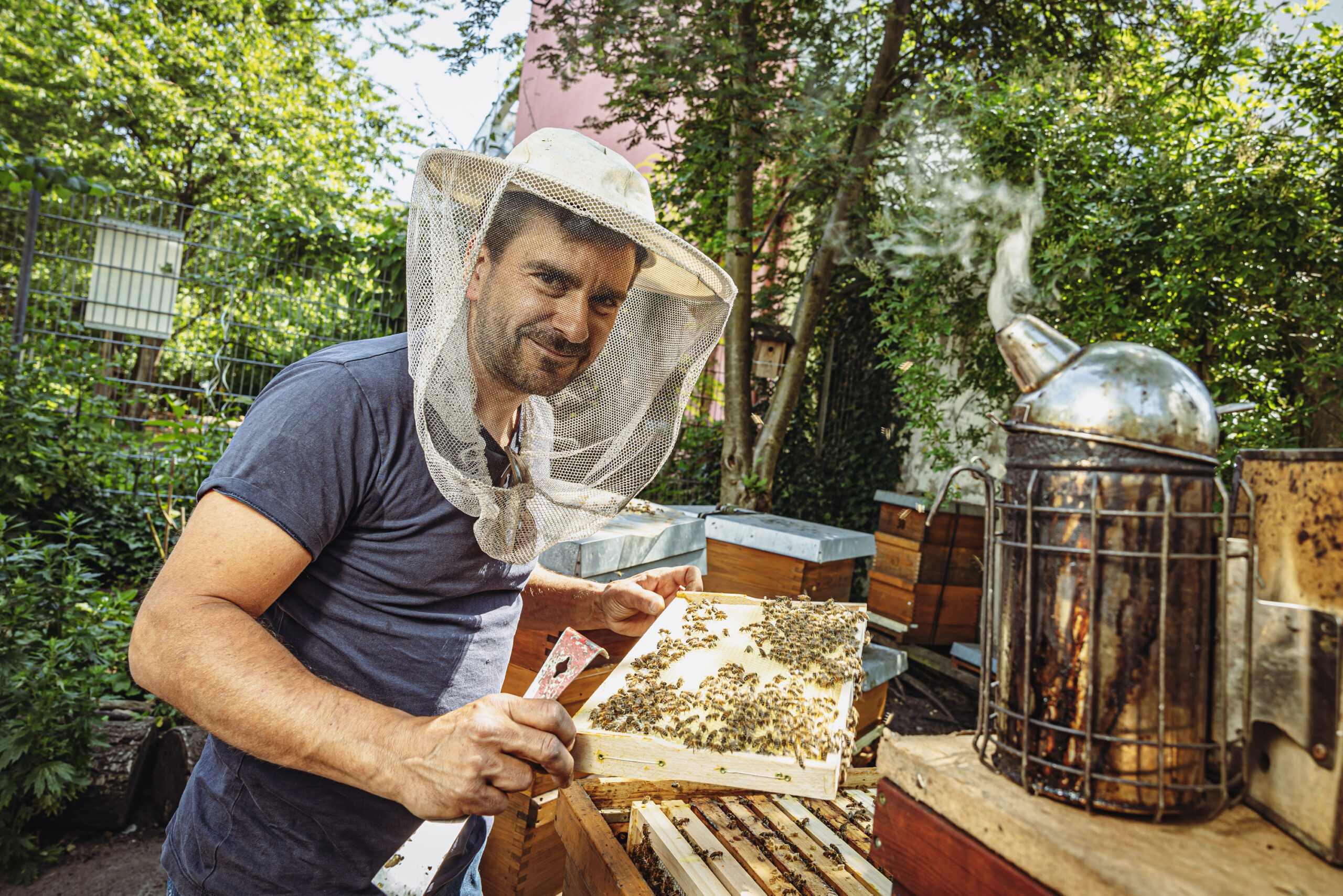 Imker David Hohmann hält eine Mittelwand mit Bienen in der Hand.