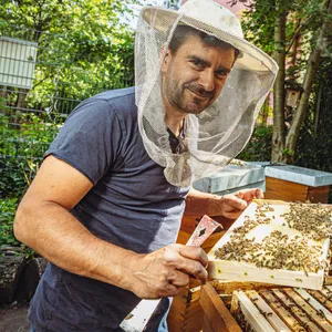 Imker David Hohmann hält eine Mittelwand mit Bienen in der Hand.