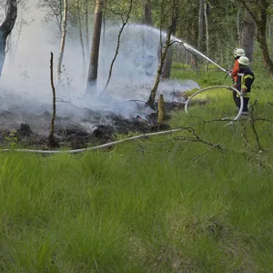 Bei einem Brand in Niedersachsen ist niemand verletzt worden.