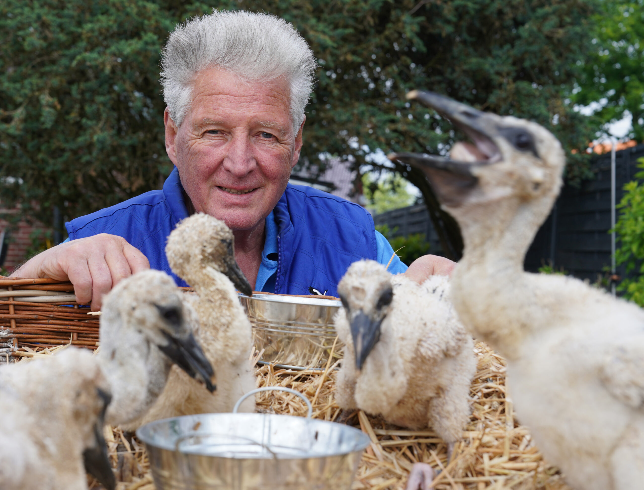Hamburgs Storchenvater Jürgen Pelch kümmert sich seit fast 50 Jahren um die Tiere.