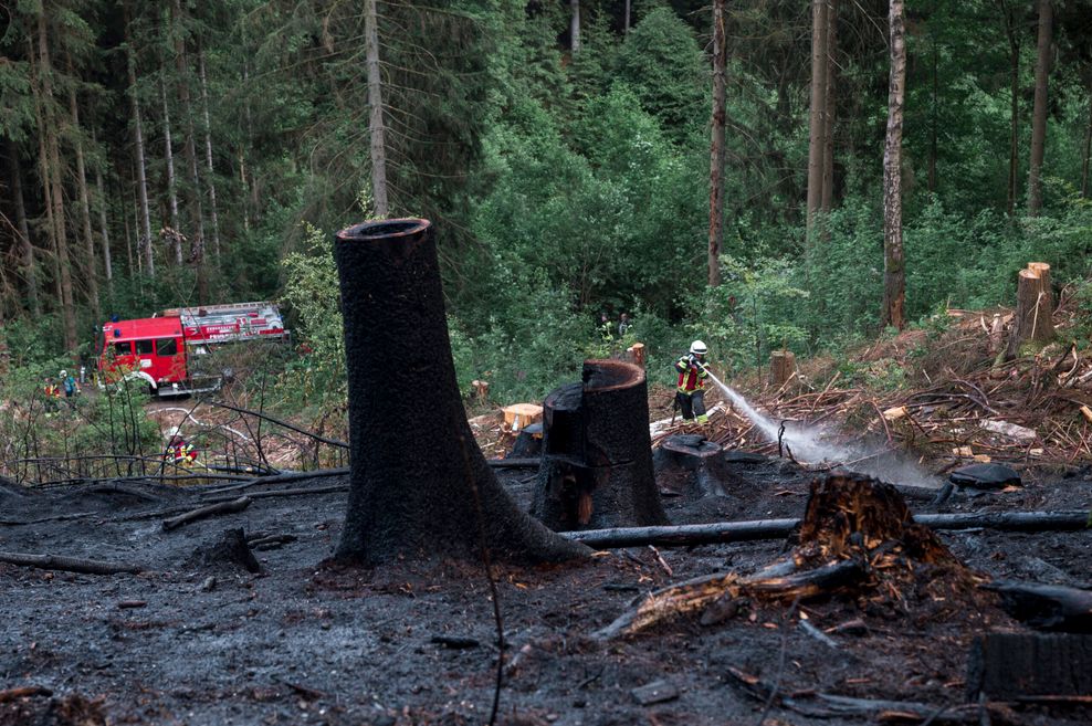 Feuerwehrleute löschen den verbrannten Waldboden an der Grenze von Bayern und Thüringen.