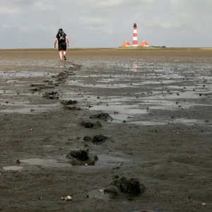 Ein Mann läuft durch das Watt auf den Westerhever Leuchtturm zu.