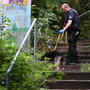 Ein Diensthund der Polizei sucht nach Spuren.