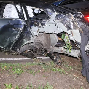 Reh ausgewichen und gegen Baum gekracht – Autoinsassen hatten großes Glück