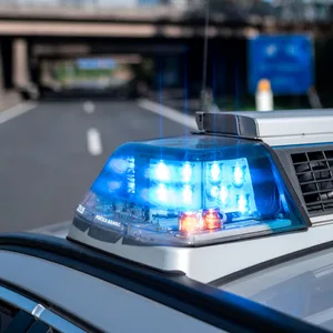 Polizeiblaulicht mit einer Brücke im Hintergrund