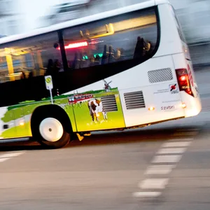 Teenager unter drogen klaut Linienbus – Polizei stoppt ihn