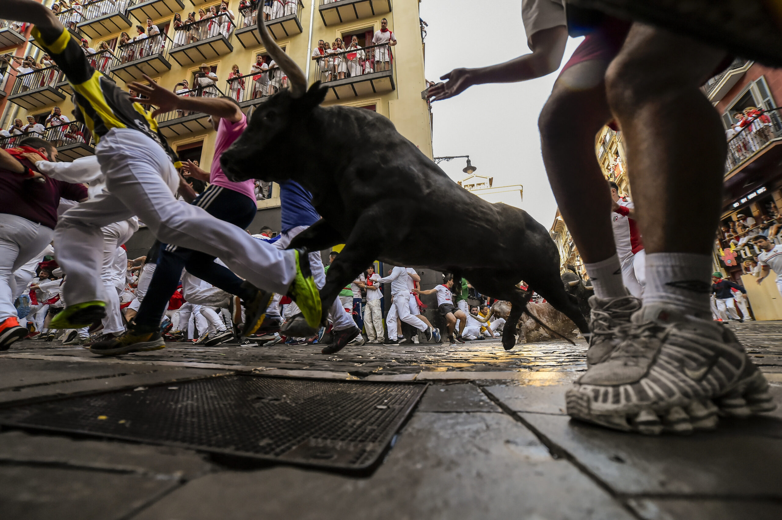 Männer treiben Kampfstiere am zweiten Tag des Stiertreibens während des „Sanfermines”-Festes durch die Gassen Pamplonas.