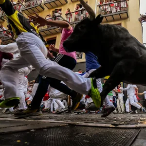 Männer treiben Kampfstiere am zweiten Tag des Stiertreibens während des „Sanfermines”-Festes durch die Gassen Pamplonas.