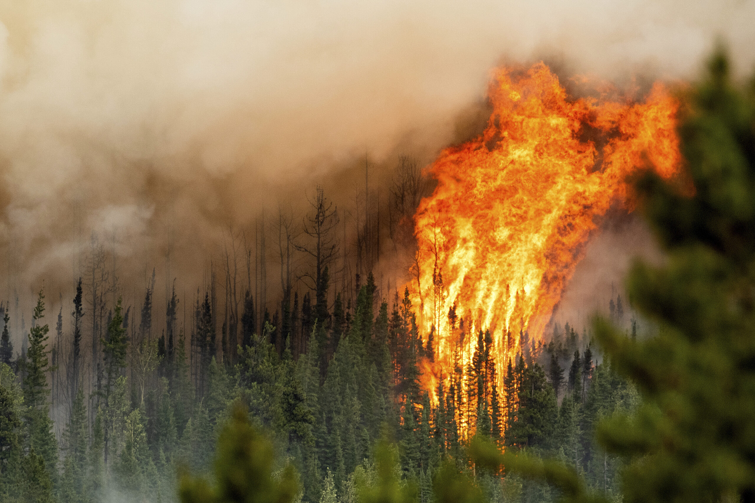 Ein Waldbrand wütet in der Region Donnie Creek in Kanada.