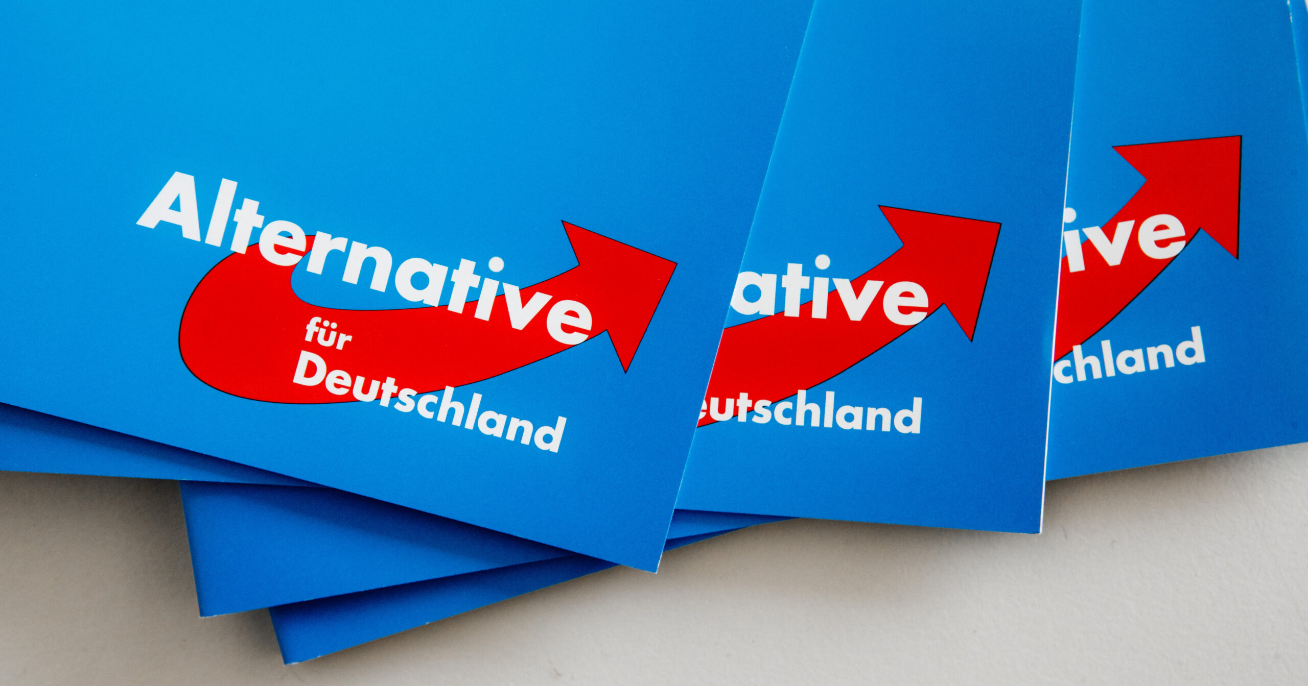 Das Logo der AfD