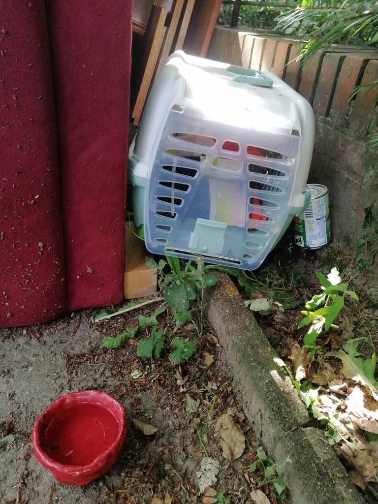 Die Transportbox hinter dem Sperrmüll